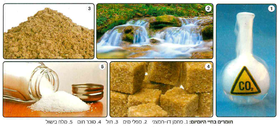 (בספר איור, היעזר במנחה)